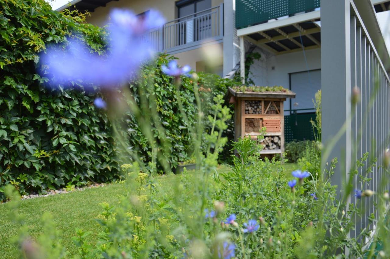 Gaestehaus Schmidt Podersdorf am See Buitenkant foto